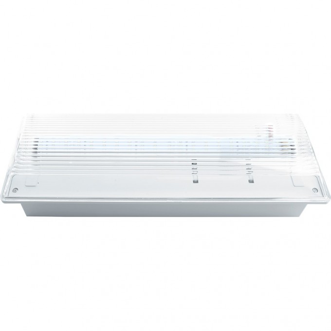 Светильник аварийный, 20 LED AC/DC, белый, FERON EM100 артикул 41535 Светильник аварийный, 20 LED AC/DC, белый, FERON EM100 артикул 41535